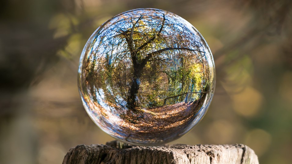 Glasskule med speilbilde av skogen